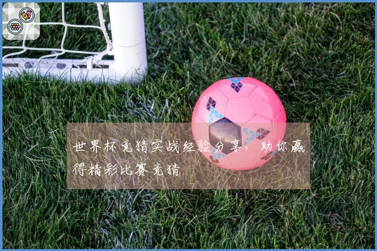 世界杯竞猜实战经验分享，助你赢得精彩比赛竞猜