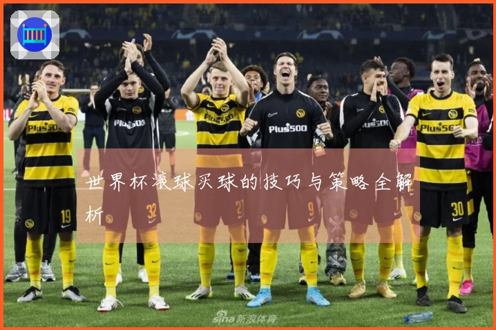 世界杯滚球买球的技巧与策略全解析