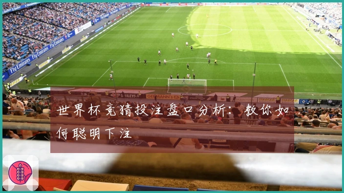 世界杯竞猜投注盘口分析：教你如何聪明下注