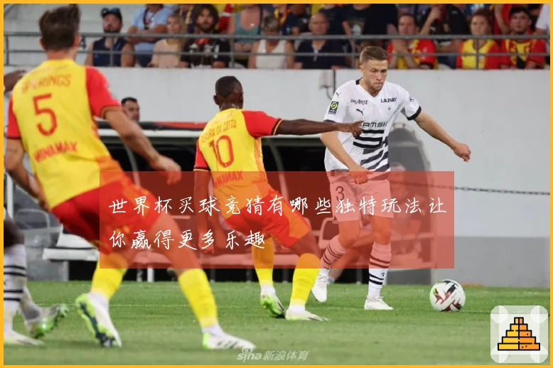 世界杯买球竞猜有哪些独特玩法让你赢得更多乐趣