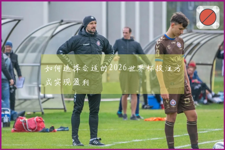 如何选择合适的2026世界杯投注方式实现盈利