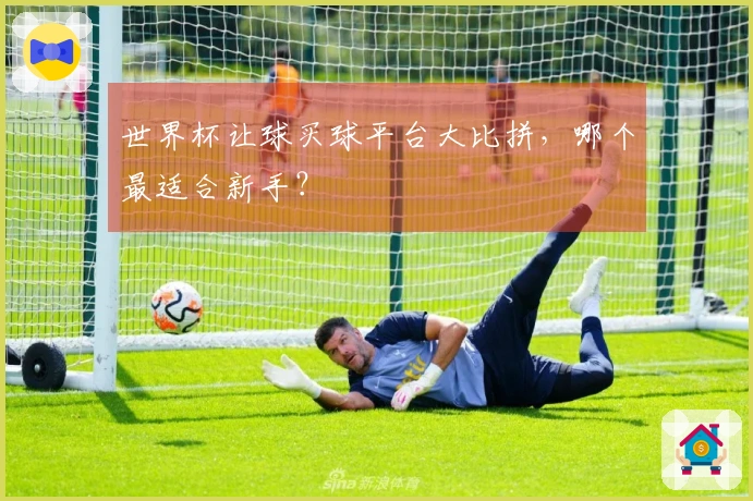 世界杯让球买球平台大比拼，哪个最适合新手？