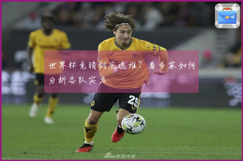 世界杯竞猜到底选谁？看专家如何分析各队实力