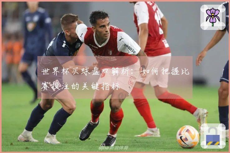 世界杯买球盘口解析：如何把握比赛投注的关键指标