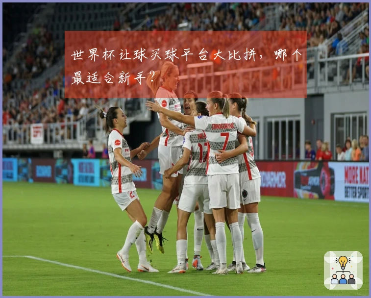世界杯让球买球平台大比拼，哪个最适合新手？
