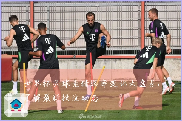 世界杯买球竞猜赔率变化大盘点，了解最新投注动态