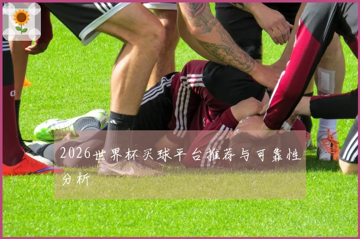 2026世界杯买球平台推荐与可靠性分析