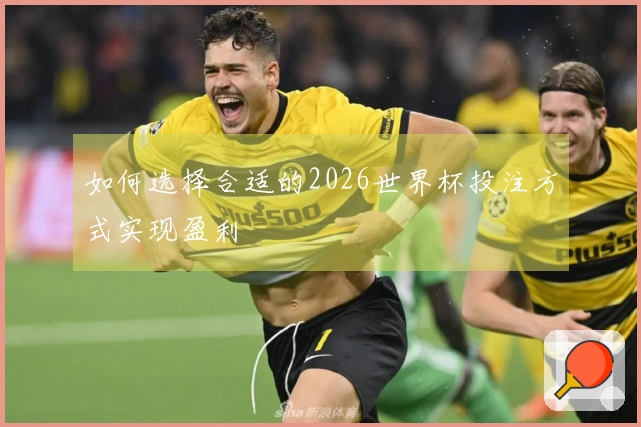 如何选择合适的2026世界杯投注方式实现盈利