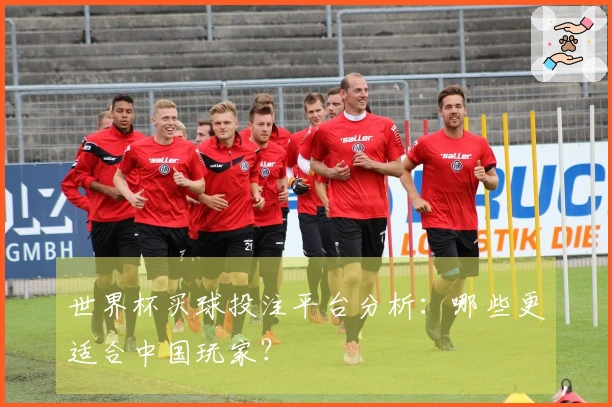 世界杯买球投注平台分析：哪些更适合中国玩家？