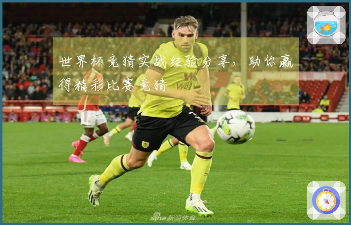世界杯竞猜实战经验分享，助你赢得精彩比赛竞猜