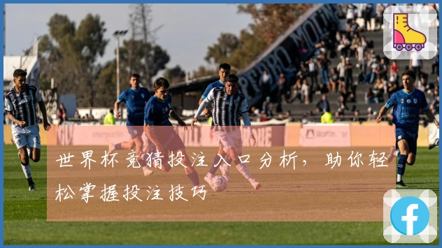 世界杯竞猜投注入口分析，助你轻松掌握投注技巧