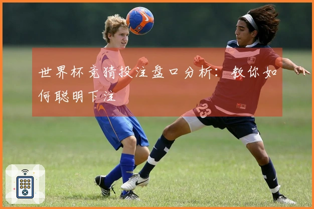 世界杯竞猜投注盘口分析：教你如何聪明下注