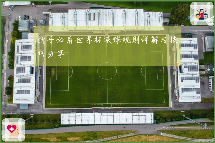 新手必看世界杯滚球规则详解与技巧分享